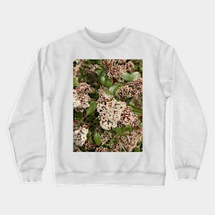 Welcome, Spring Crewneck Sweatshirt